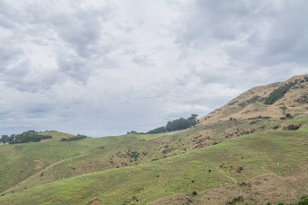 istock Rural New Zealand with scenic views 1453813201
