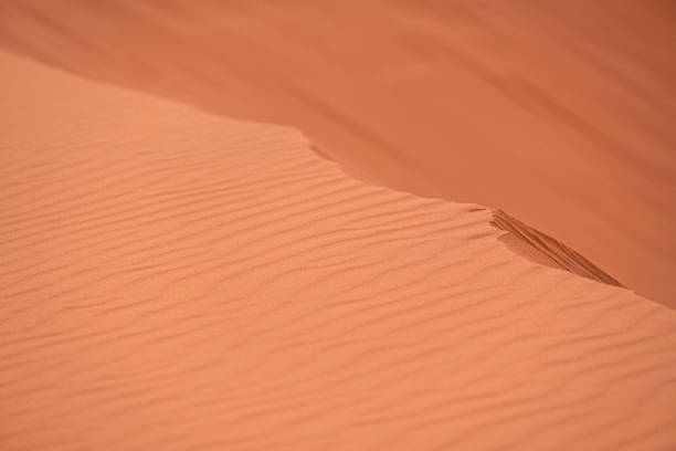 Sand Dune in the Wadi Araba desert. Jordan landscape