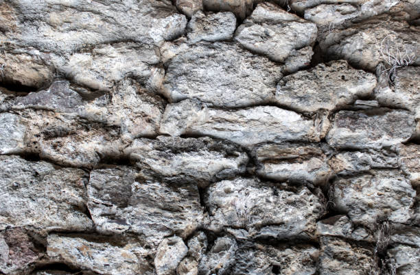 istock Background Texture. Texture of a Stone Wall. Old Castle Stone Wall Texture Background. Stone Wall as a Background or Texture. Part of a Stone Wall, for Background or Texture 1453813439
