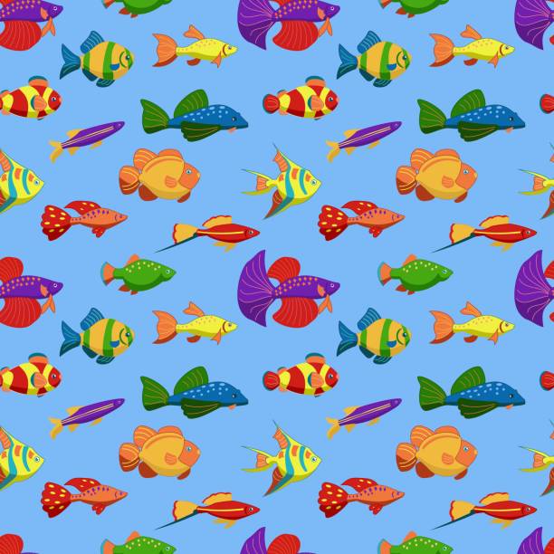 A seamless pattern with exotic tropical fishes. Underwater animals. Vector illustration Swordtail, clown fish, fighting fish, scalare, guppy, diskus, danio, goldfish A seamless pattern with exotic tropical fishes. Cartoon underwater animals. Vector illustration Swordtail, clown fish, fighting fish, scalare, guppy, diskus, danio, goldfish danio stock illustrations