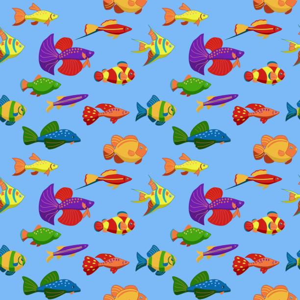 A seamless pattern with exotic tropical fishes. Underwater animals. Vector illustration Swordtail, clown fish, fighting fish, scalare, danio, goldfish, catfish, cichlazomas. A seamless pattern with exotic tropical fishes. Cartoon underwater animals. Vector illustration Swordtail, clown fish, fighting fish, scalare, danio, goldfish, catfish, cichlazomas. danio stock illustrations