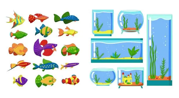 Vector illustration of Aquarium fish and Glass Aquarium collection isolated on white background. Cute cartoon vector illustration set.