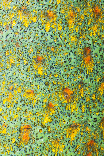 Green and yellow textured ceramics surface