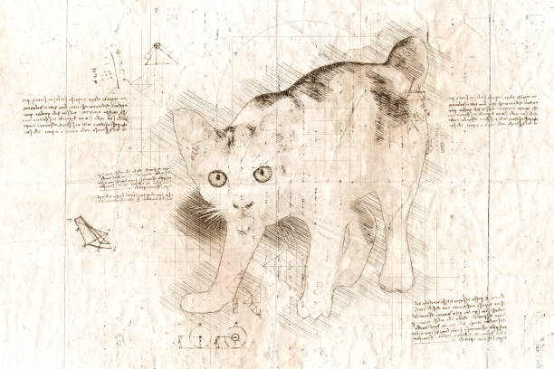 istock da Vinci style sketch of young cat. 1453814000