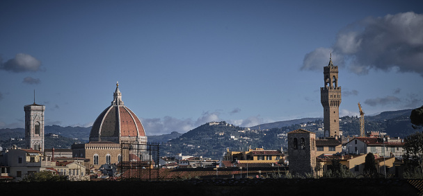 Florence cityscape with Santa Maria del Fiore Cathedral and Palazzo Vecchio