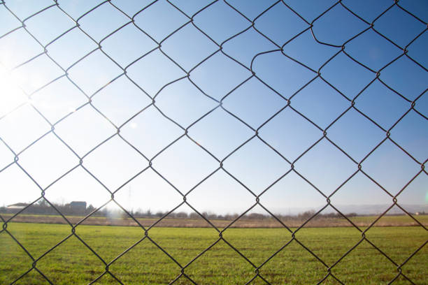 istock Chain link fence in a farm with grassy field behind it 1453815051