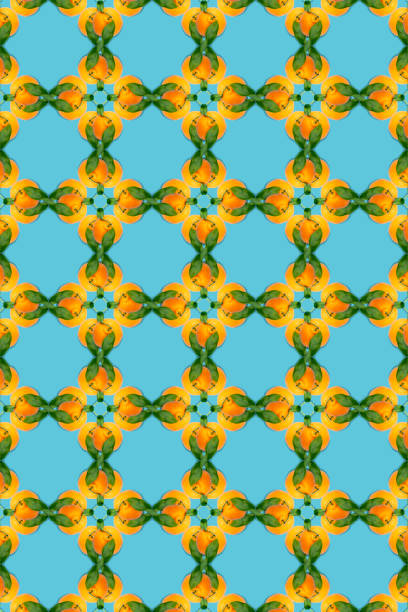 Creative photos of tangerines on a blue background: