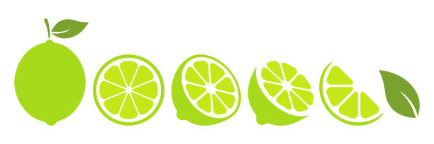 набор ломтиков лайма. - lime juice illustrations stock illustrations