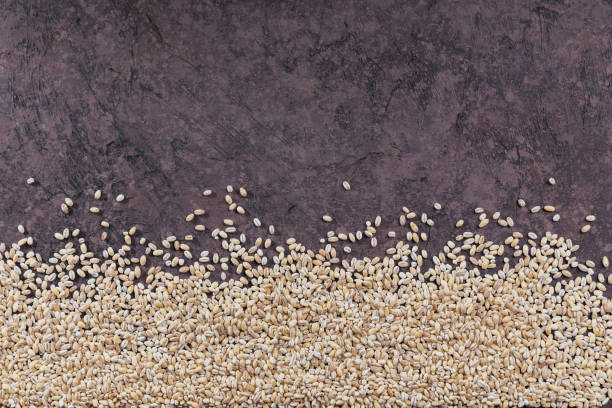 istock Organic uncooked pearl barley top view 1453817384