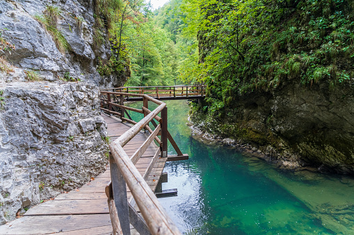 Turquoise Radovna river with its typical wooden bridge at Vintgar Gorge near to Bled in Slovenia