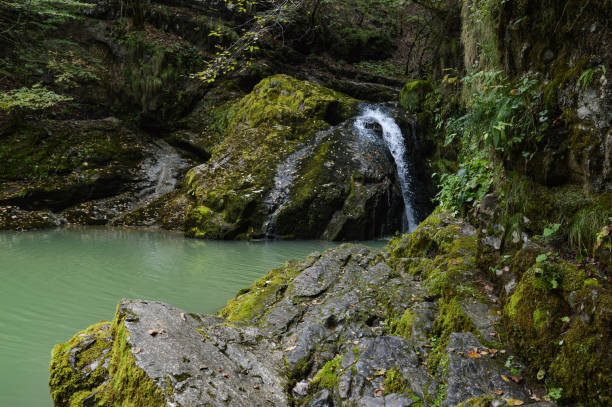 torrente di montagna che forma un bellissimo laghetto all'ingresso del canyon del passaggio del diavolo (vrazji prolaz) - waterfall woods green river foto e immagini stock