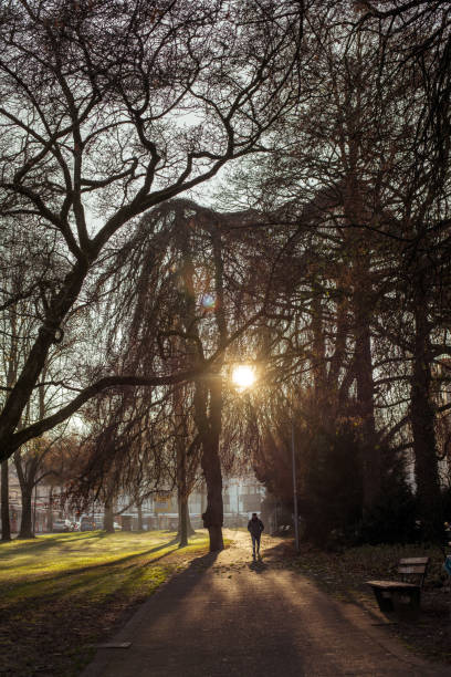 Walking in the wintry city park with the sun low in the sky.