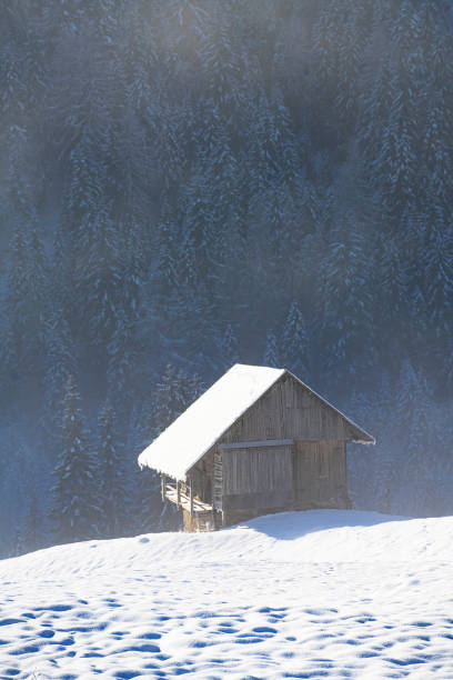 istock Log cabin in a winter landscape 1453822717