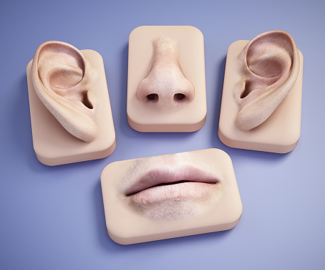 Nose, mouth and ear body parts on blue background.