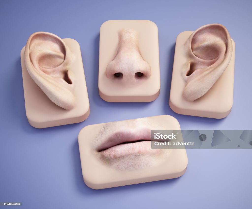 Nose, mouth and ear body parts on blue background Nose, mouth and ear body parts on blue background. Sensory Perception Stock Photo