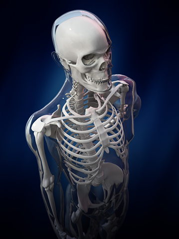 Accurate xray image of human skeletal system with adult male body contours on black background 3D rendering illustration. Anatomy, osteology, medical, healthcare, science concept.