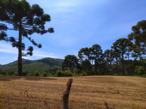Beautiful rural landscape, with lots of greenery, trees, mountains, paths and plantations, an excellent option for leisure, walks, trips and a wonderful place to spend your holidays. Photo taken in Campo Alegre, Santa Catarina, Brazil.