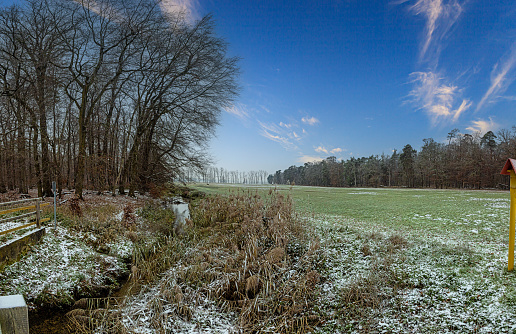 Image of a stream flowing through a winter forest at morning time
