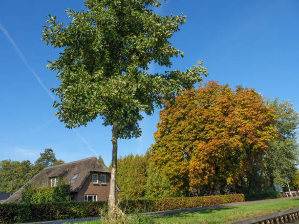 El pequeño pueblo de Giethoorn en los Países Bajos - foto de stock