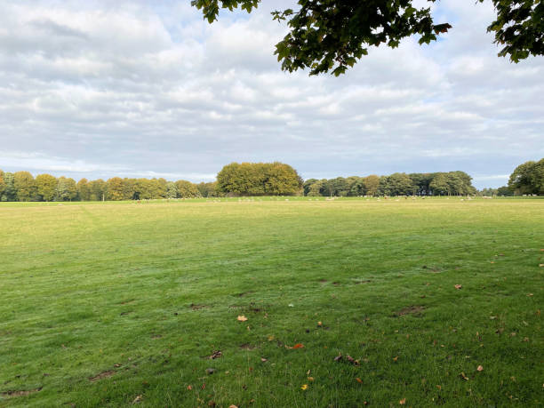 istock A view of the Cheshire Countryside 1453834472