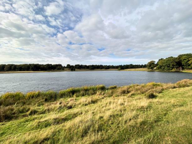 istock A view of the Cheshire Countryside 1453834766