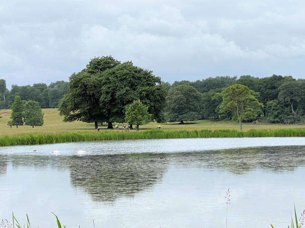 istock A view of the Cheshire Countryside 1453835089