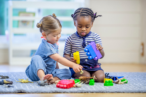 Two young toddlers sit on the carpet in a home daycare as they play together with toy animals and blocks.  They are each dressed casually as they share and play together quietly.