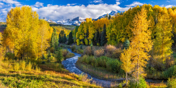istock Autumn Afternoon on East Dallas Creek 1453838599