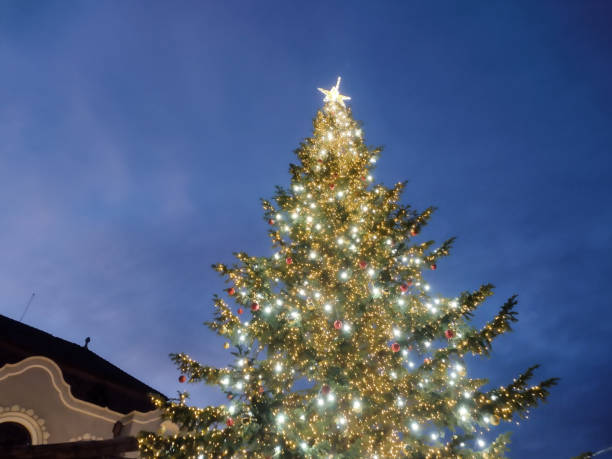 istock Big natural Christmas tree in Baia Mare city, Romania 1453843708