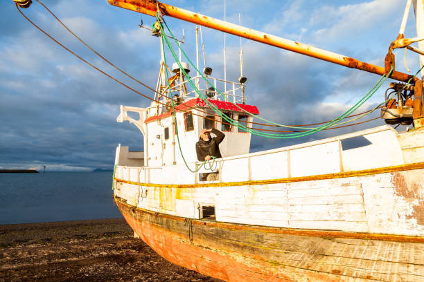Middle-aged man playing captain on a boat stranded on an Icelandic beach in the midnight sun
