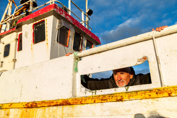 Middle-aged man playing captain on a boat stranded on an Icelandic beach in the midnight sun