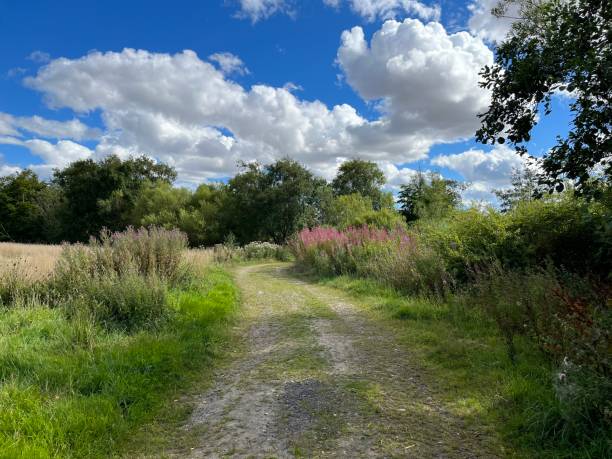 istock Deserted Country Road 1453850654