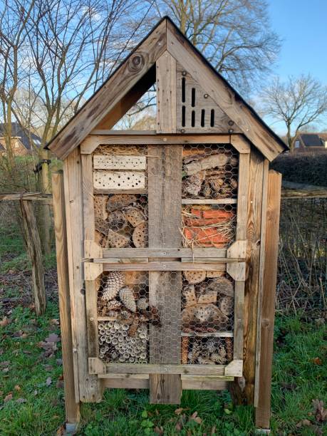 istock Bee hotel in garden 1453850700
