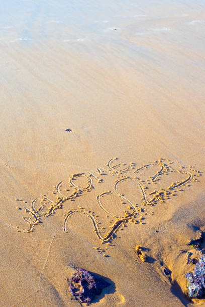 istock welcome 2023 written in the sand on the beach 2 1453850888