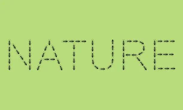 Vector illustration of a line of black ants forming the word NATURE