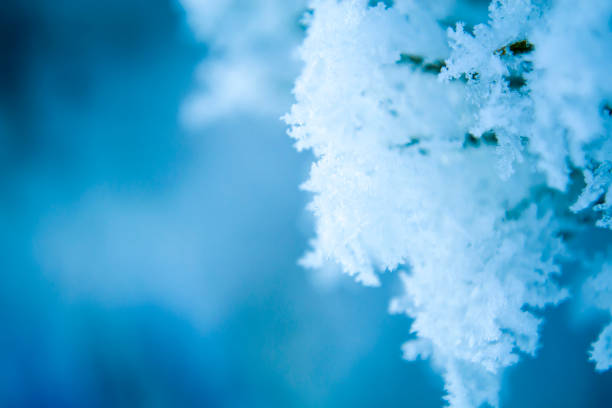 Snowflakes, snow blue background for your inscription. High quality photo
