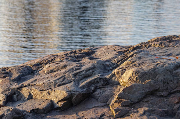 Close up of a rocky beach during sunset