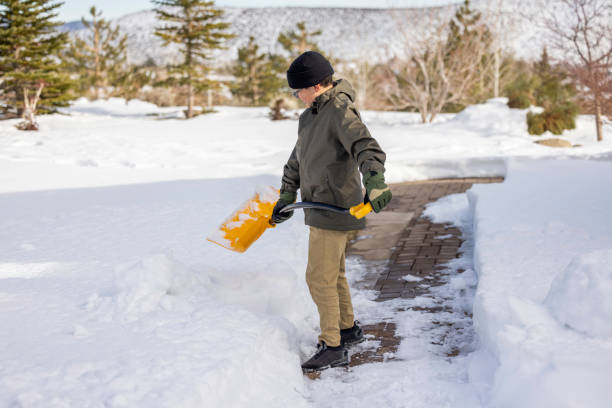 istock Boy Shoveling Snow at Home 1453854469