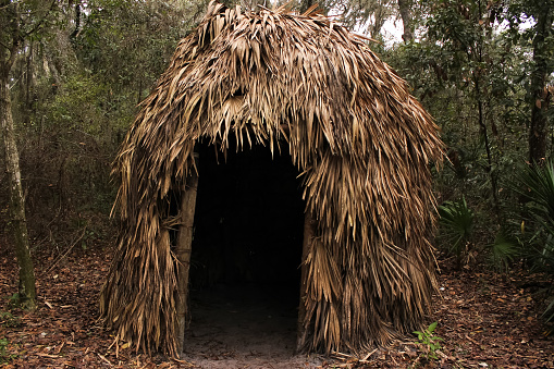 A hut made of palm fronds in the woods in Florida