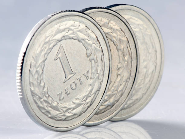 istock Coin 1 zloty. Currency Poland. 1453855843