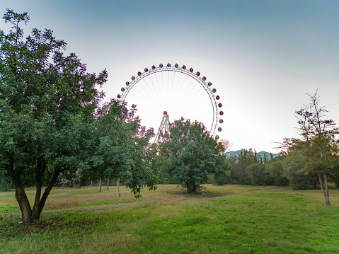 Lush green forest and Ferris wheel in sunny weather, amazing view of nature. blue sky. Antalya