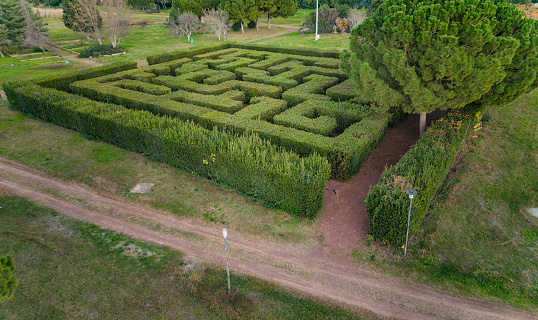 A photo taken from the drone's eye. The green maze, trees, grass and earth are visible.