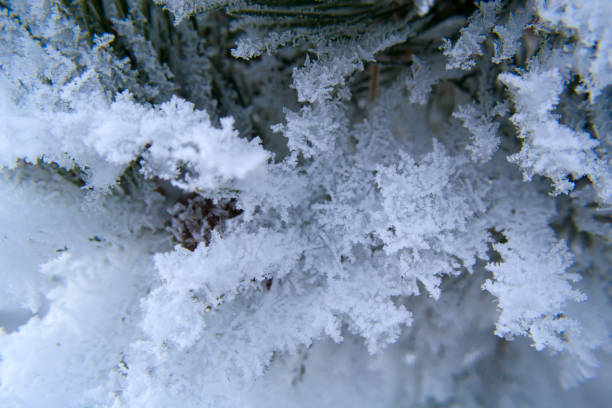 istock Beautiful landscape with snow in winter 1453856330