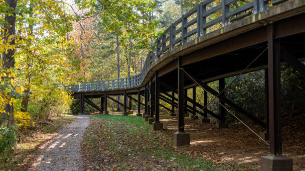 istock Elevated Roadway in the Autumn Woods 1453858081