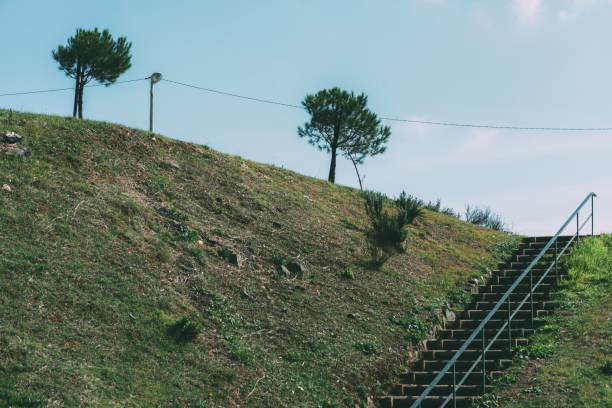 istock Staircase with a handrail going up the hill covered with meadow 1453859895