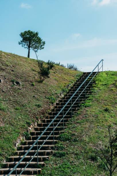 istock Staircase with a handrail going up the hill covered with meadow 1453859896
