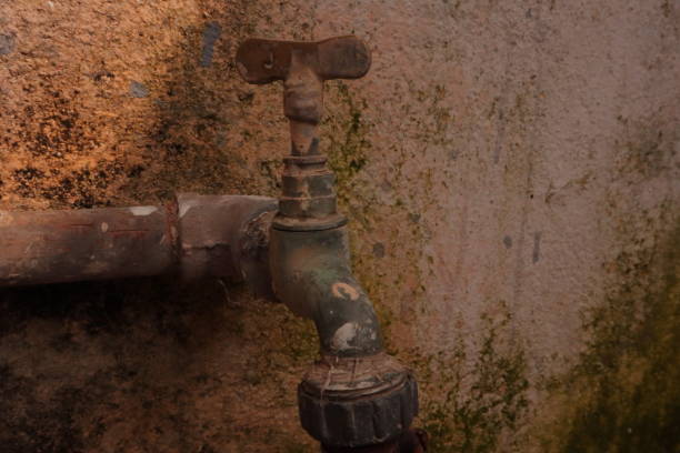 istock Old House Faucet. Moldy Wall 1453860869