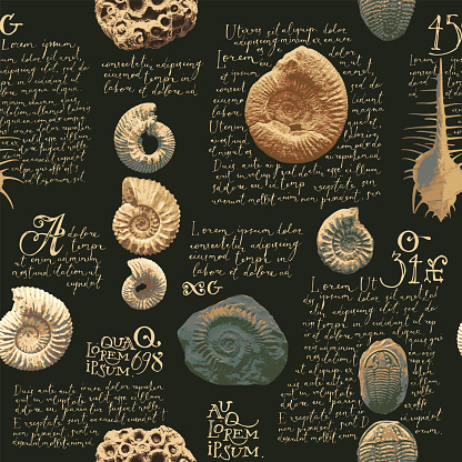vector seamless pattern background with photo of ancient ammonite shells and trilobites and text loreum ipsum imitating paleontological catalog or encyclopedia. Suitable for wallpaper design