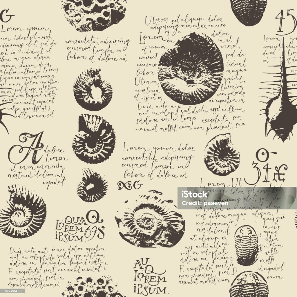 Ammonite Shell Pattern Seamless Pattern With Imprint Of Ammonite Shells And Trilobites Stock ...