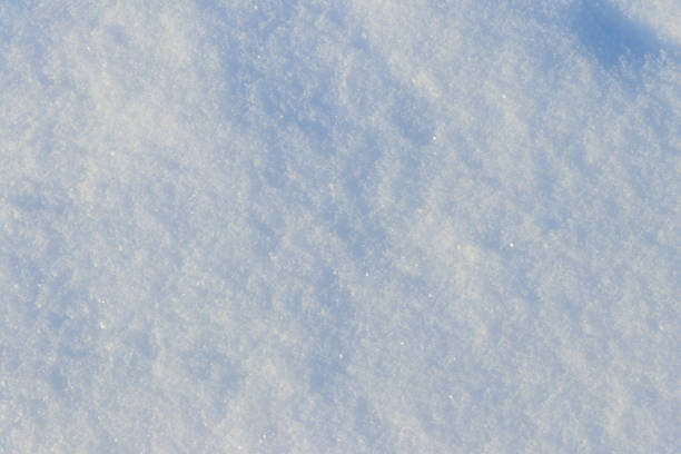 istock Texture of the white snow. Winter background 1453861233
